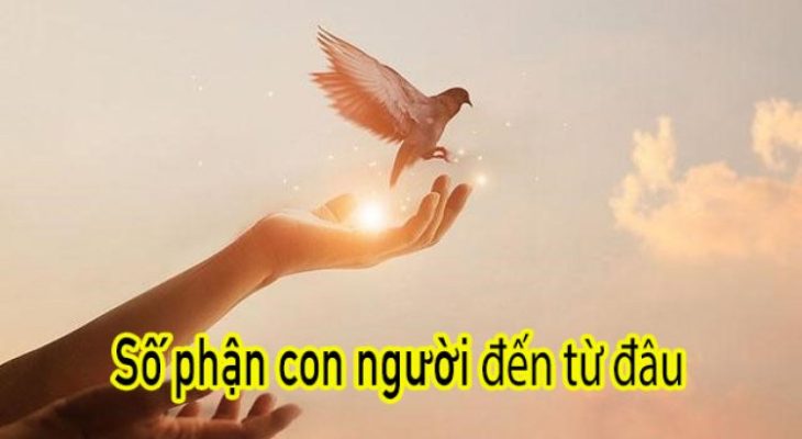 Năng Lượng Tốt Hay Xấu Đều Đến Từ Tư Duy, Lời Nói Và Hành Động Của Bạn